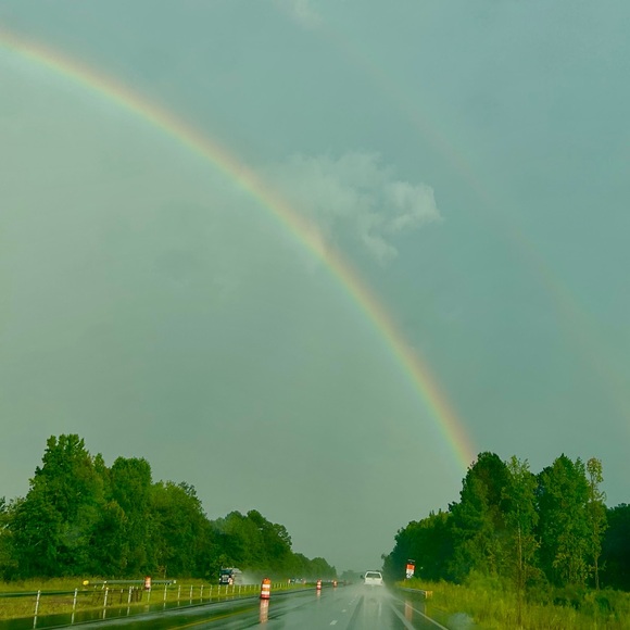 Meet your Posher, Shelby - Picture 1 of 1